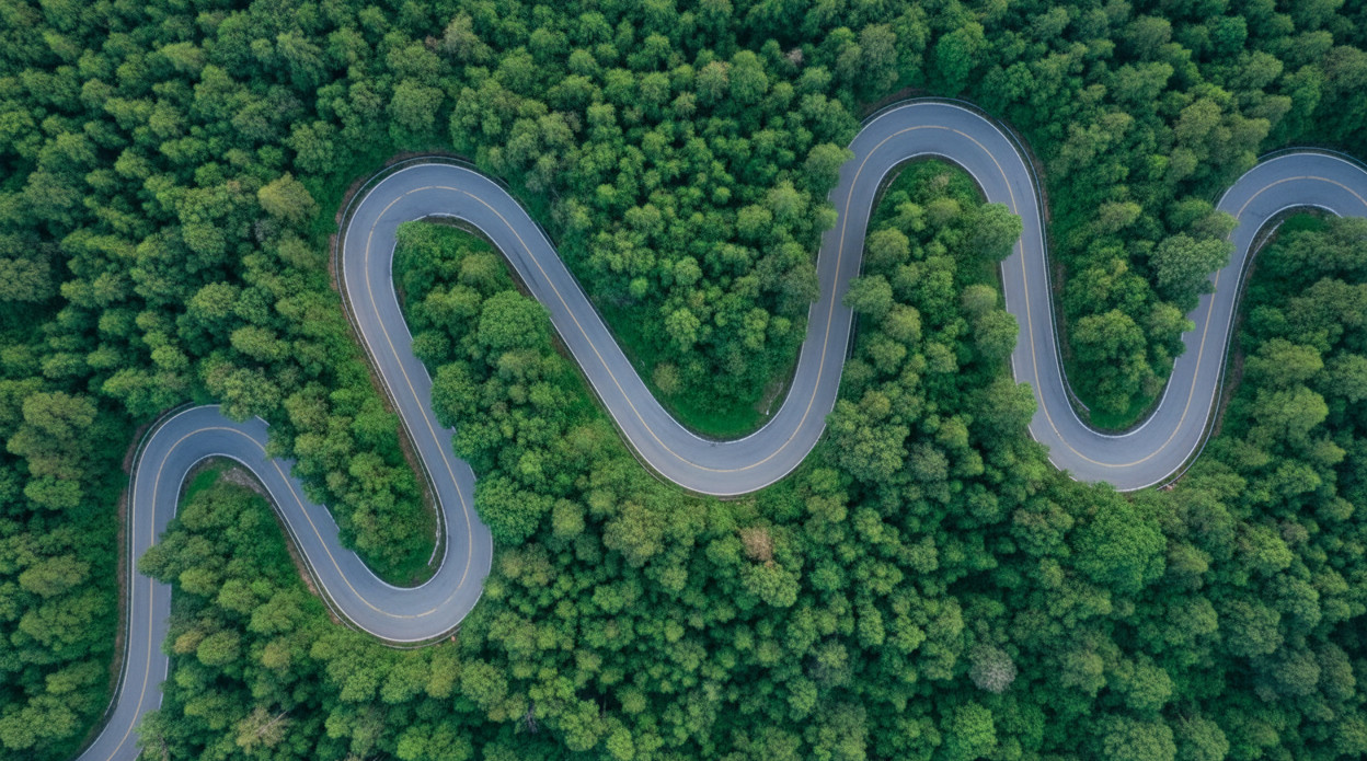 A Strategic Guide to Carbon Credit Procurement